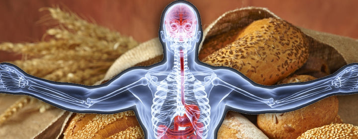 5 *NEW* Ways Wheat Slows Our Brains And Makes Us Fat