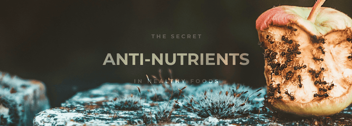 Oxalates, Phytates and Saponins: The Secret Anti-Nutrients (Antinutrients) In "Healthy" Foods