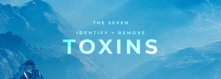 [THE SEVEN]  1. Identify + Remove Dietary Allergens and Toxins